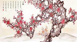 梅花图片