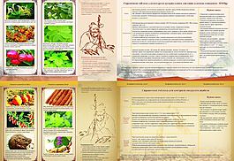 中药 三折页图片