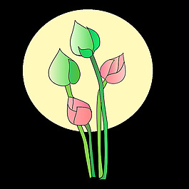 莲花