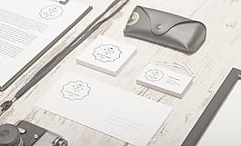 真实逼真vi模板图片