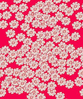 菊花图案图片