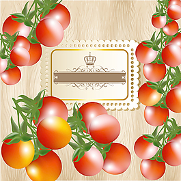 西红柿文本模板的设计vector001