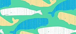 鲨鱼图片