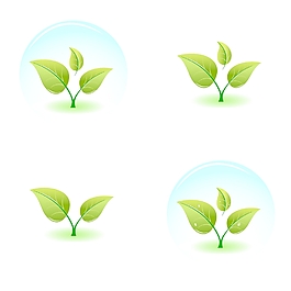 年轻的绿色植物