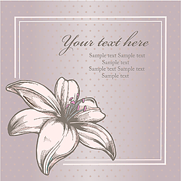 美丽的花纹边框矢量背景02