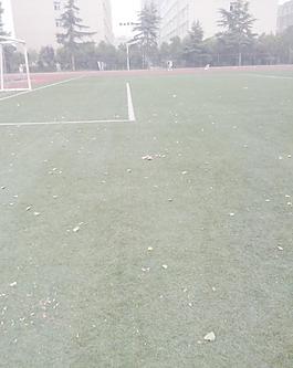 足球场图片