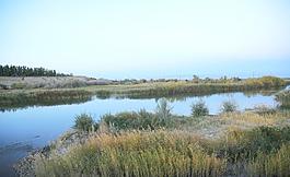 北疆海岸图片