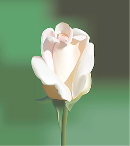 花的真实感绘制矢量素材