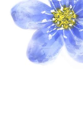 特写水彩花卉背景PSD分层素