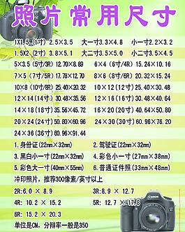 照片常用尺寸图片