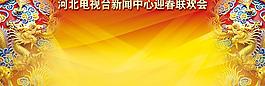 双龙晚会年会表彰会签名版背景布（3x1 2米）图片