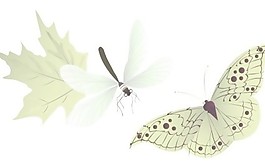 媒介昆虫