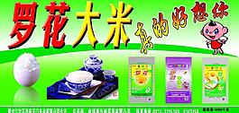 大米图片