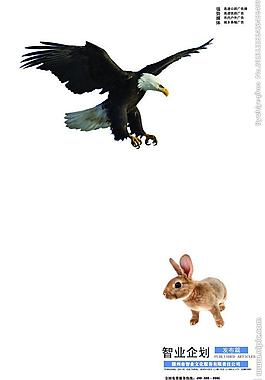 精准发布图片