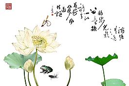 水墨荷花图片