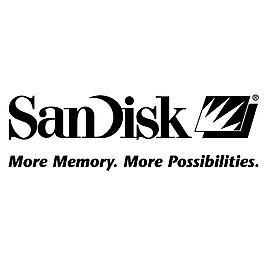 sandisk 0sandisk 1sandisk logo设计欣赏 sandisk网络公司标志下载