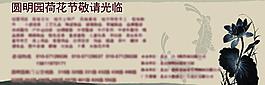 荷花节图片