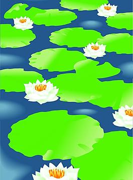 美丽的荷花图片