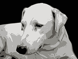 狗