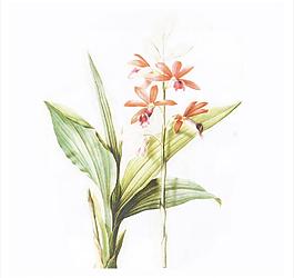美克美家复古装饰画图片