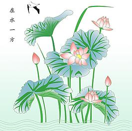 夏日荷花 在水一方图片