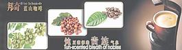 邦奇蓝山咖啡图片