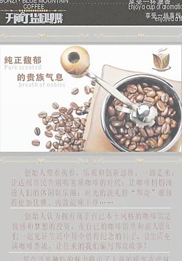 邦奇蓝山咖啡图片