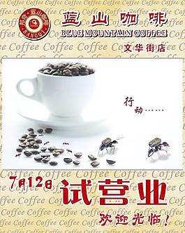 邦奇蓝山咖啡图片