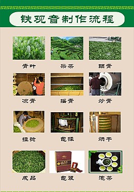 铁观音制作流程