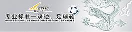 龙戏珠图片