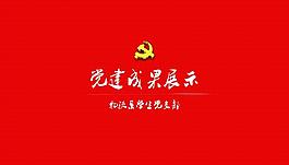党支部建设PPT模板