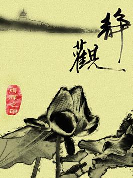 墨荷图片