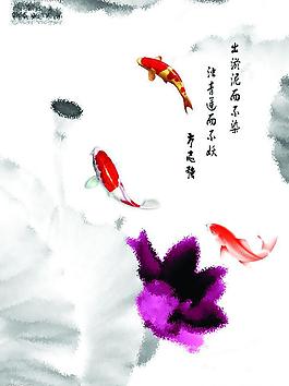 鲤鱼图片