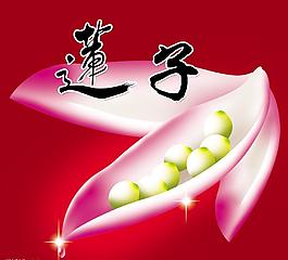 莲子图片