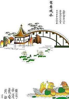 鸳鸯戏水图片