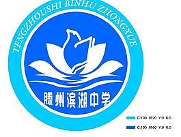 滕州滨湖中学 中学标志图片
