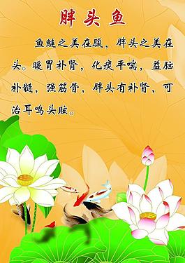 夏日荷塘图片