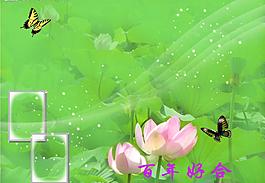 百年好合图片