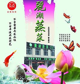 蒸菜 湖图片