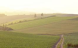 鸟瞰图背景素材图片
