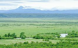 鸟瞰图背景素材图片