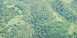 鸟瞰图背景素材图片