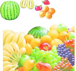 水果系列图片