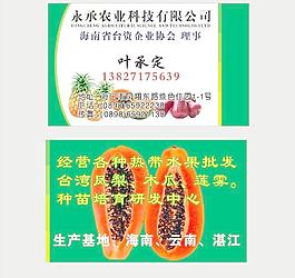水果经销商名片图片