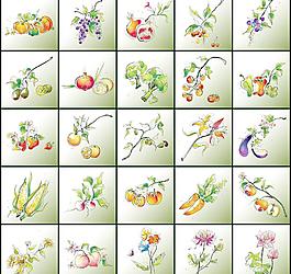 静物花鸟蔬菜水果花草图片