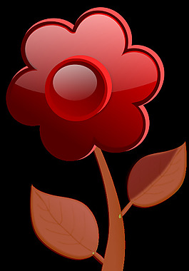 花A6