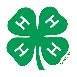 4 H 0