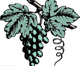 矢量葡萄图片