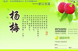 杨梅包装图片