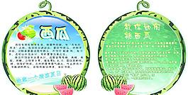 西瓜图片